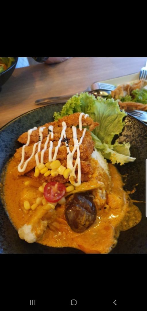 review photo of Vegan Curry Rice with Mother Earth Curry Katsu Briyani shared by @nuttybroccoli on 26 Mar 2020 - review