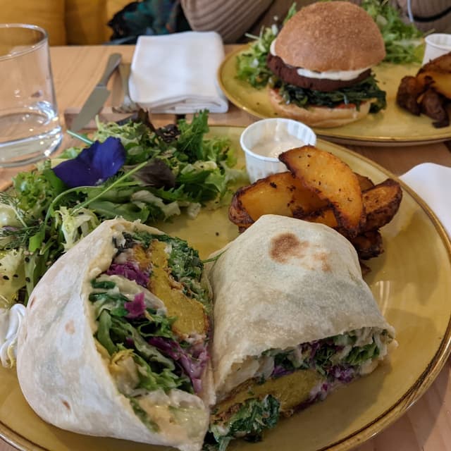 Photo of the dish “Pita Con Falafel”