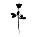 mary1976v @mary1976v profile image