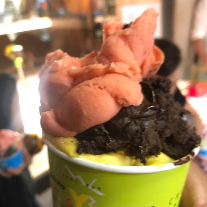 photo of Gelato Fantasy Gelato Gusto Mango shared by @hozra72 on  13 Jul 2021 - review