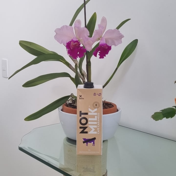 review photo shared by @luizaelias on 12 Oct 2022 - post
