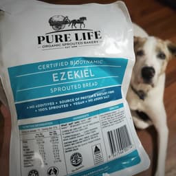 Pure Life