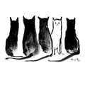 lauraferro @lauraferro profile image