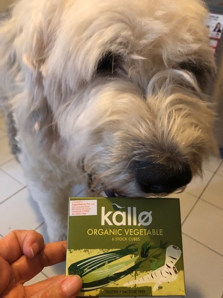 photo of Kallo Organic Vegetable Stock shared by @brigittestaps on  16 Dec 2019 - review