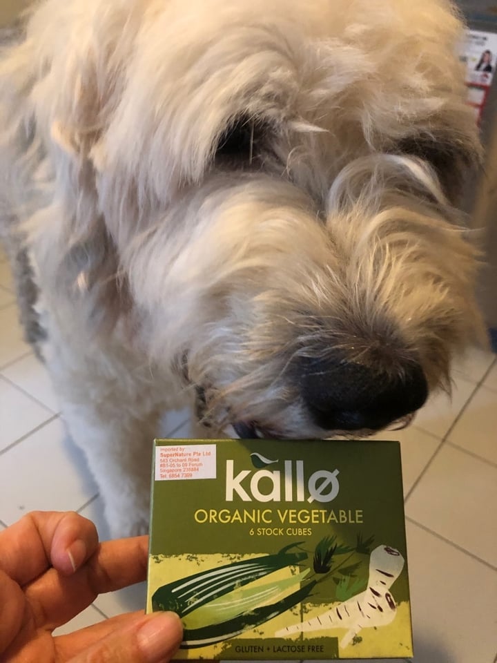 review photo of Kallo Organic Vegetable Stock shared by @brigittestaps on 16 Dec 2019 - review