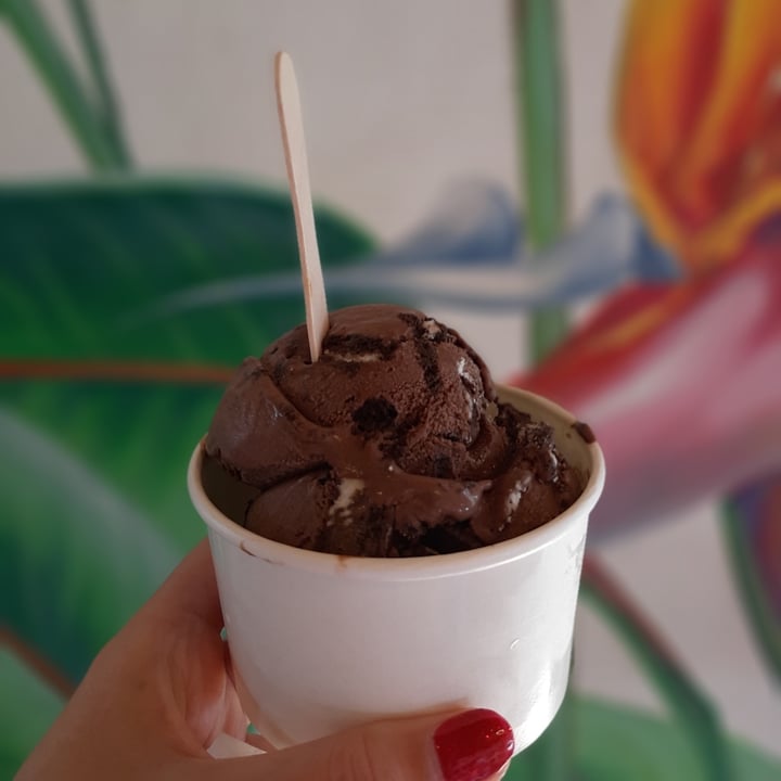 photo of Kristen's Kick-Ass Ice Cream - Heritage Market Chocolate Oreo Ice Cream shared by @kate13 on  30 Dec 2020 - review