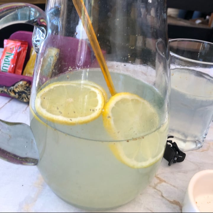 review photo of El Palacio Vegano Limonada shared by @gbrito on 21 Oct 2021 - review