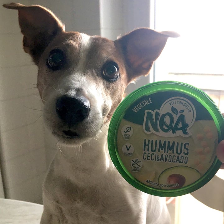photo of Noa Hummus Ceci & Avocado shared by @myonji on  02 Apr 2022 - review