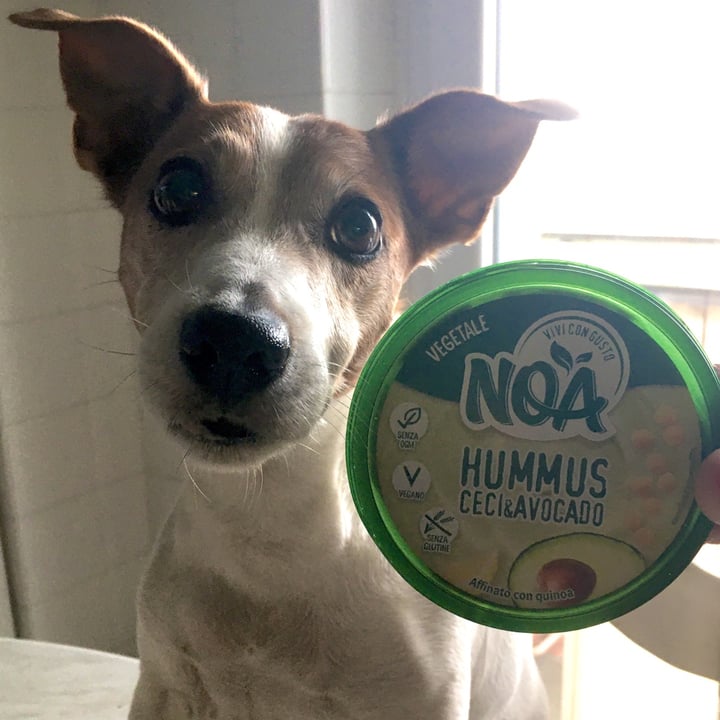 review photo of Noa Hummus Ceci & Avocado shared by @myonji on 02 Apr 2022 - review