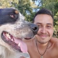 pablitrojimenez @pablitrojimenez profile image