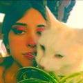 @vrec profile image