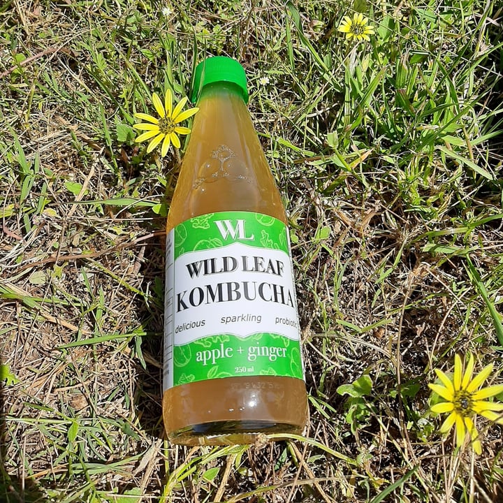 photo of Wild Leaf Brew Apple and Ginger kombucha shared by @rynol on  30 Oct 2020 - review
