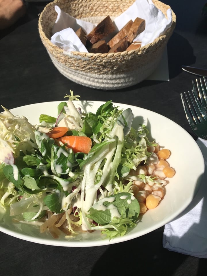 review photo of Wish Restaurant Salad with Cashew-Dressing shared by @inhale3xhale on 21 Mar 2020 - review