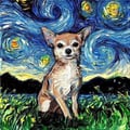 @malula profile image