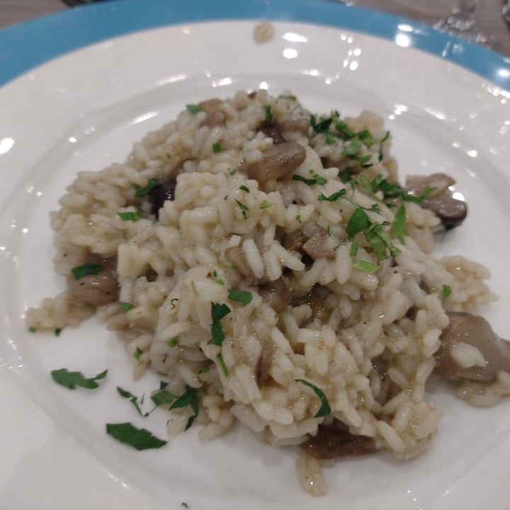 photo of Hotel & Residence Castelli Risotto de cogumelos shared by @majomatos on  10 Dec 2022 - review