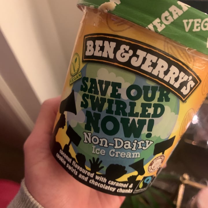 photo of Ben & Jerry's Save Our Swirled Now! Non-Dairy Ice Cream shared by @pdawg2020 on  14 Jan 2021 - review