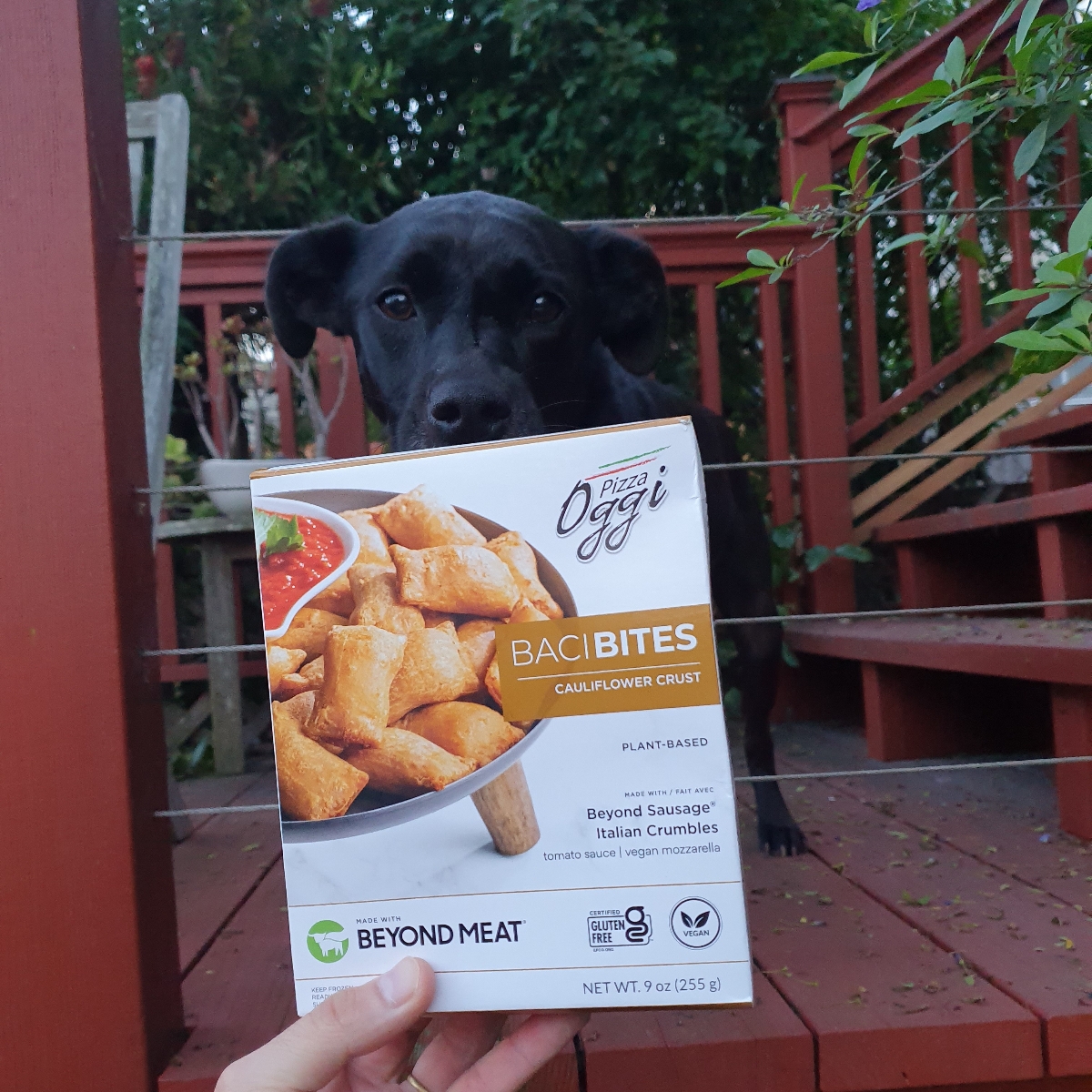 Pizza Oggi Baci Bites Reviews abillion