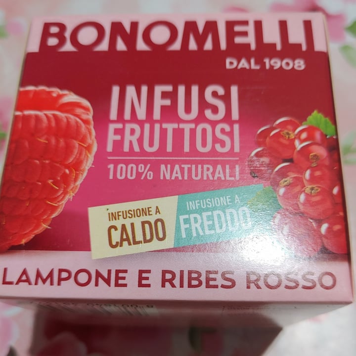 photo of Bonomelli Infusi Fruttosi Lampone E Ribes Rosso shared by @pattybo on  15 Aug 2022 - review