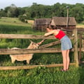 ilovegoats @ilovegoats profile image