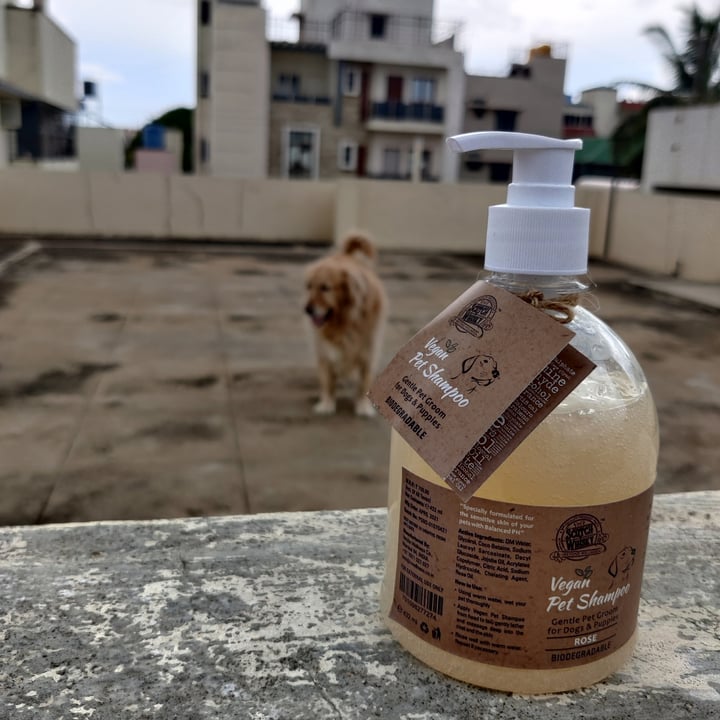 photo of Varsha wellness co Scotch & whiskey vegan pet shampoo shared by @manojerappa on  20 May 2021 - review