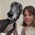 stephiewaite @stephiewaite profile image