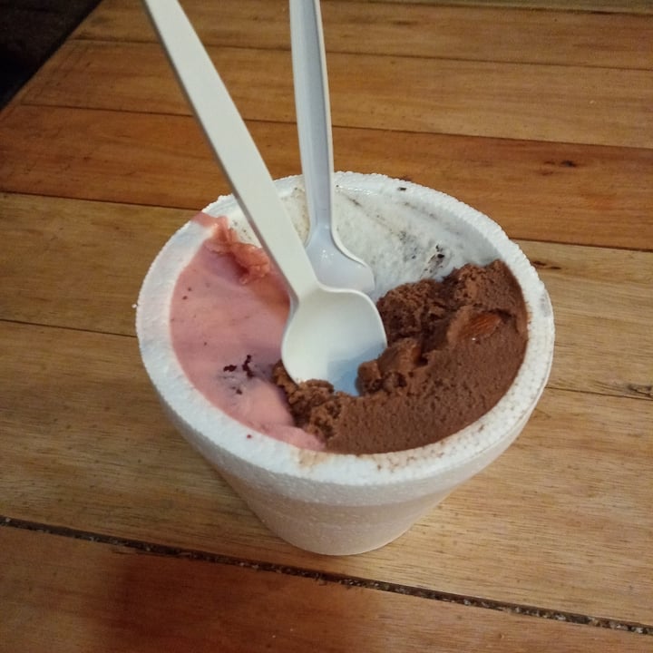 photo of Futuro Veggie Helado shared by @sofiamusical on  05 Mar 2021 - review