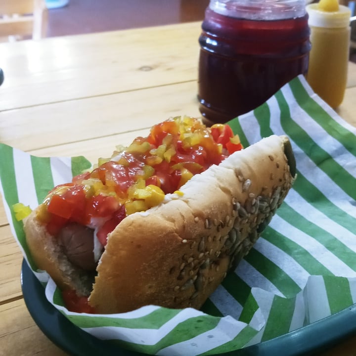 photo of Señor Lechuga Hot dog callejerito shared by @marovallecillos on  31 May 2022 - review