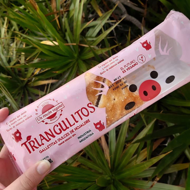 review photo of Un Rincón Vegano Triángulitos De Hojaldre shared by @gubbalo on 30 Aug 2021 - review