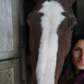 martibi @martibi profile image