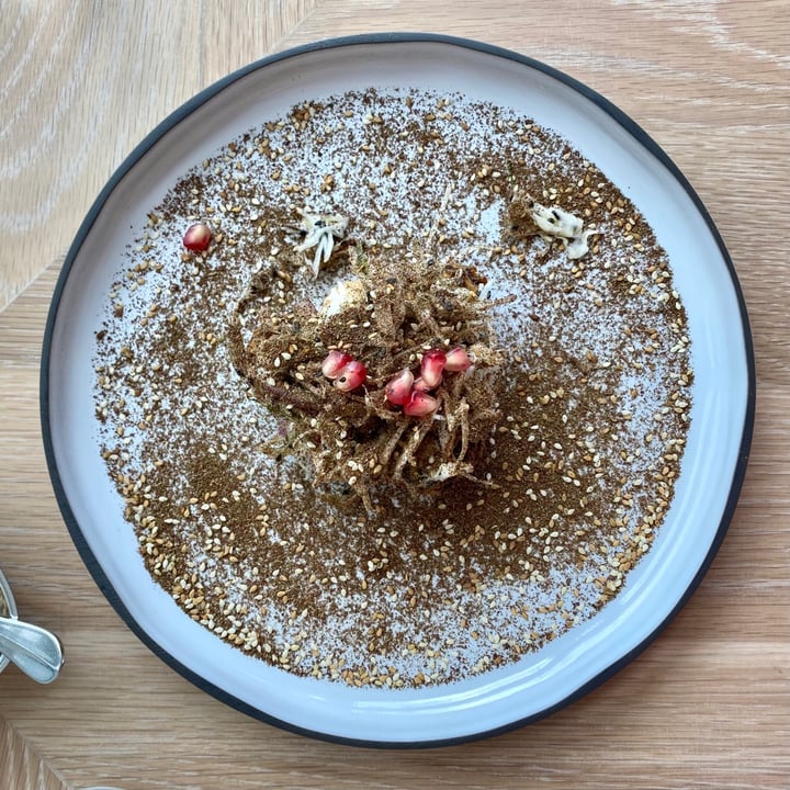 review photo of Artemis Grill Quinoa Falafel shared by @vikas on 27 Nov 2020 - review