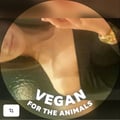 @animaldefender2019 profile image