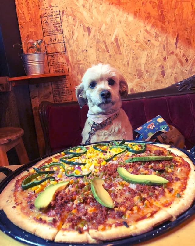 「Pizza Mexicana」の料理の写真