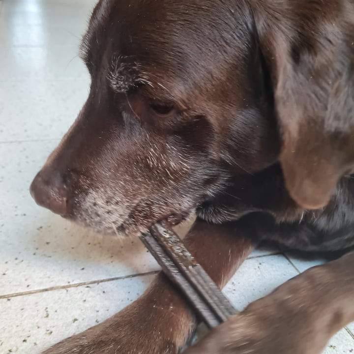 review photo of Edgard Cooper Doggy Dental Crisp Apples & Eucalyptus Oil shared by @dana03 on 03 Mar 2022 - review