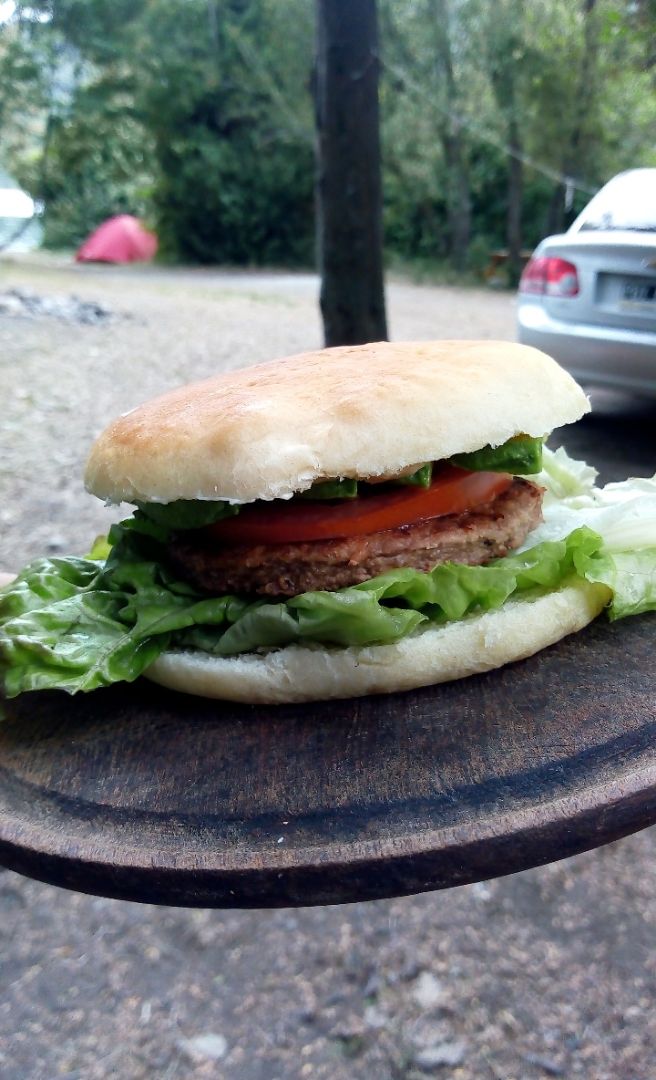 review photo of Vegetalex Hamburguesas de Soja shared by @camidz on 27 Jan 2020 - review