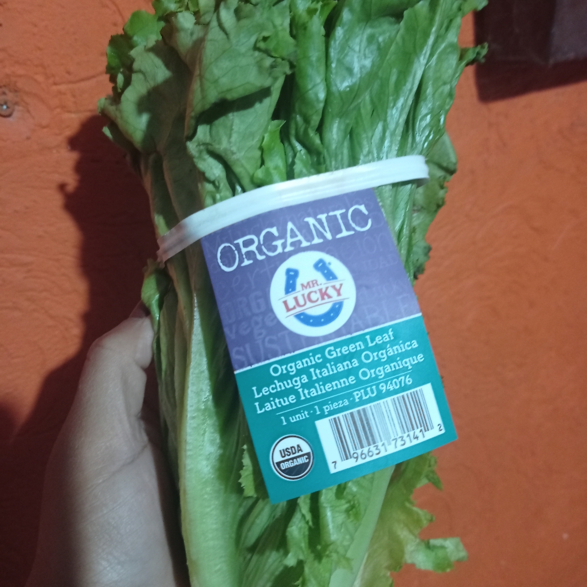 mr-lucky-lechuga-italiana-reviews-abillion