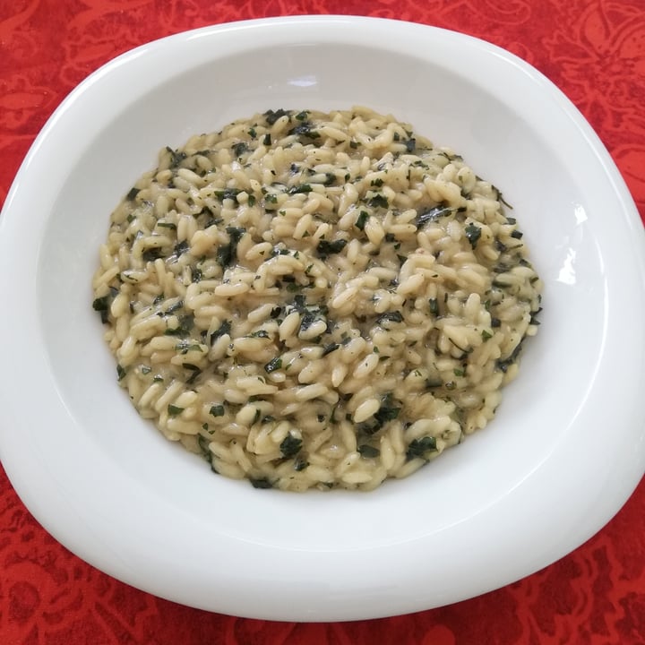photo of Brugnola1932 Vegan Country House risotto alle ortiche shared by @unazampaperlaspagna on  28 Jul 2022 - review