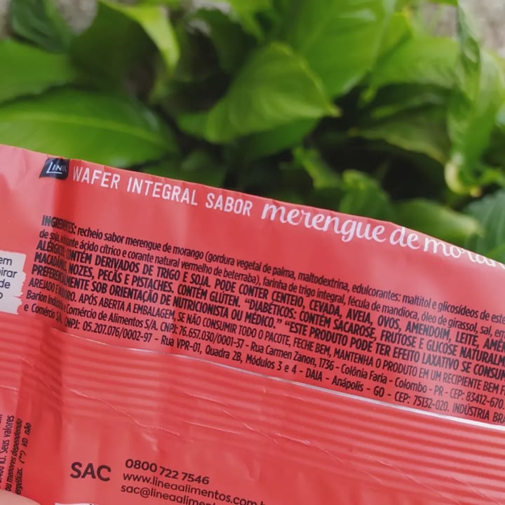review photo of Linea Wafer integral sabor morango shared by @mariveggy on 10 Jun 2022 - review