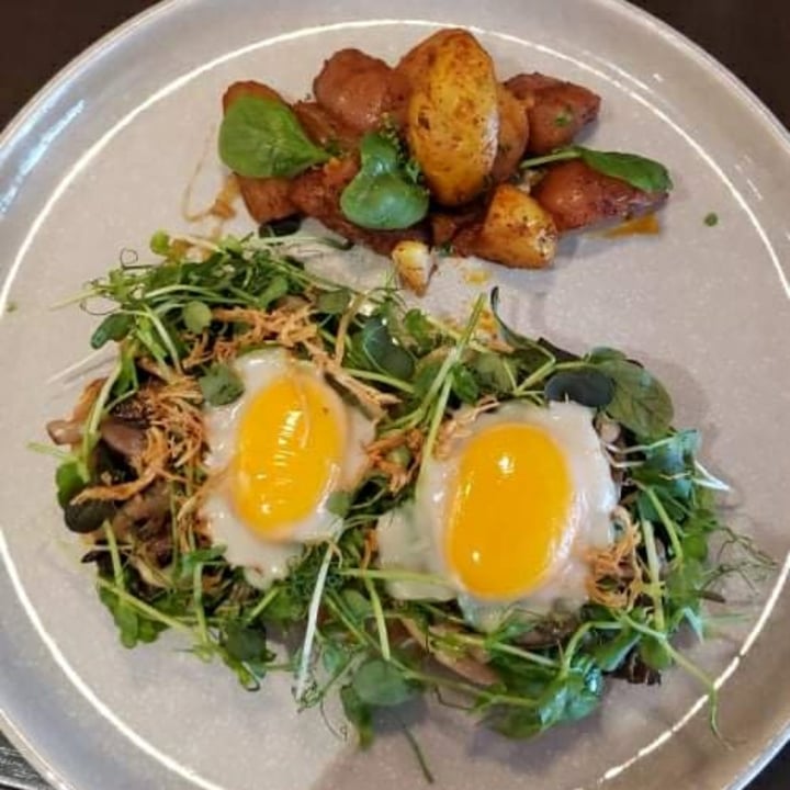 photo of SAUG.E cuisine végane Oeufs Bénedictines shared by @elidu on  05 Nov 2021 - review