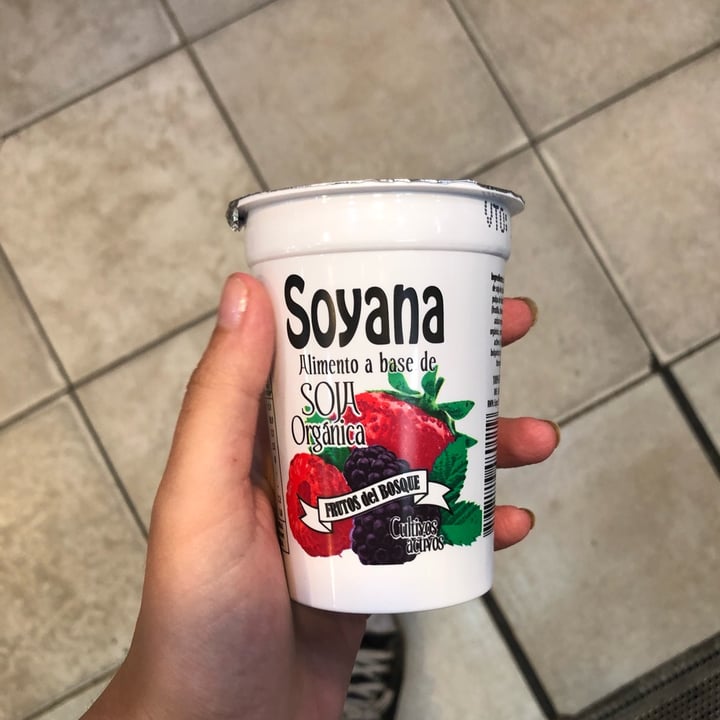 photo of Soyana Yogurt a Base de Soja sabor Frutos del Bosque shared by @lolebarbieri on  27 Feb 2022 - review