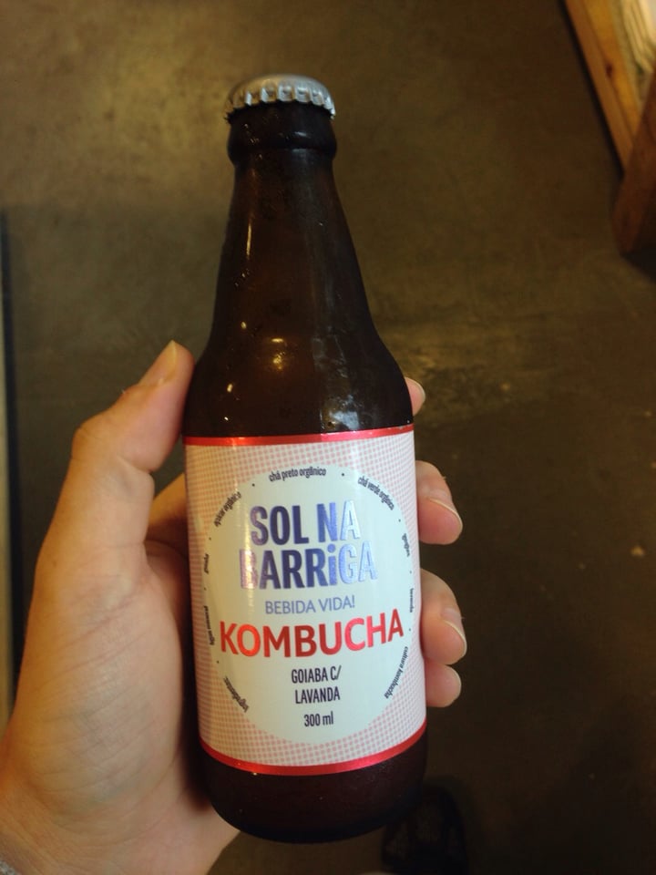 review photo of Sol na Barriga Kombucha de Goiaba com Lavanda shared by @joaofontalba on 28 Feb 2020 - review