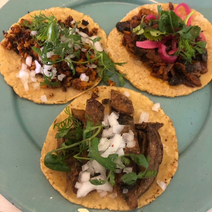 photo of Groovy's Taquería Vegana Taco de bistec de setian shared by @marybell on  10 Aug 2022 - review
