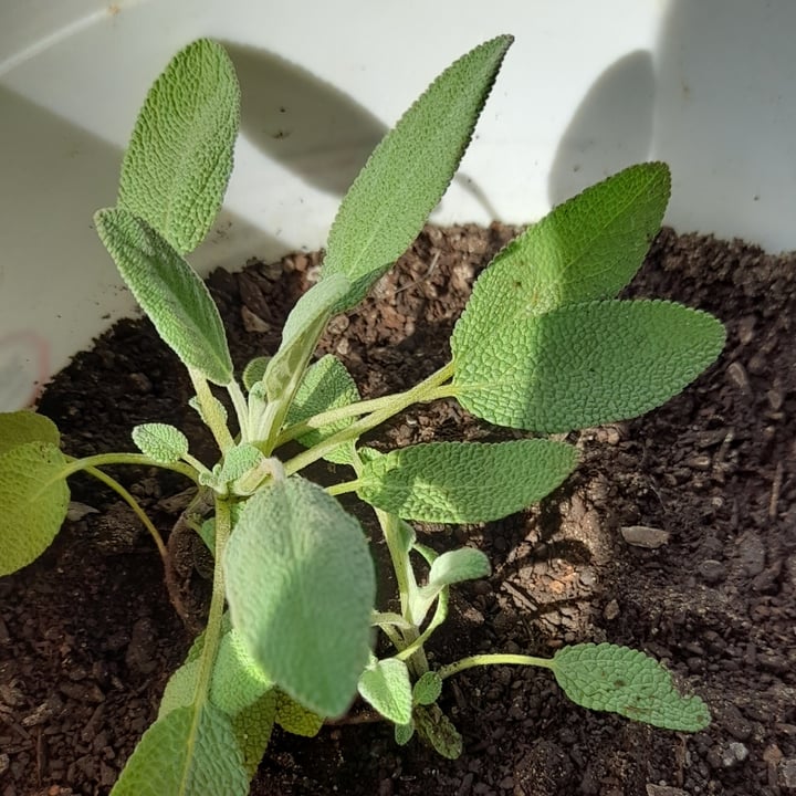 review photo shared by @danireich on 10 Jul 2022 - post