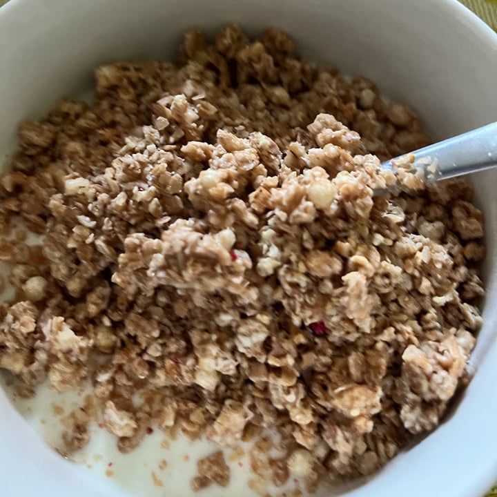 photo of Alnatura Dinkel Crunchy shared by @cris1806 on  13 May 2022 - review