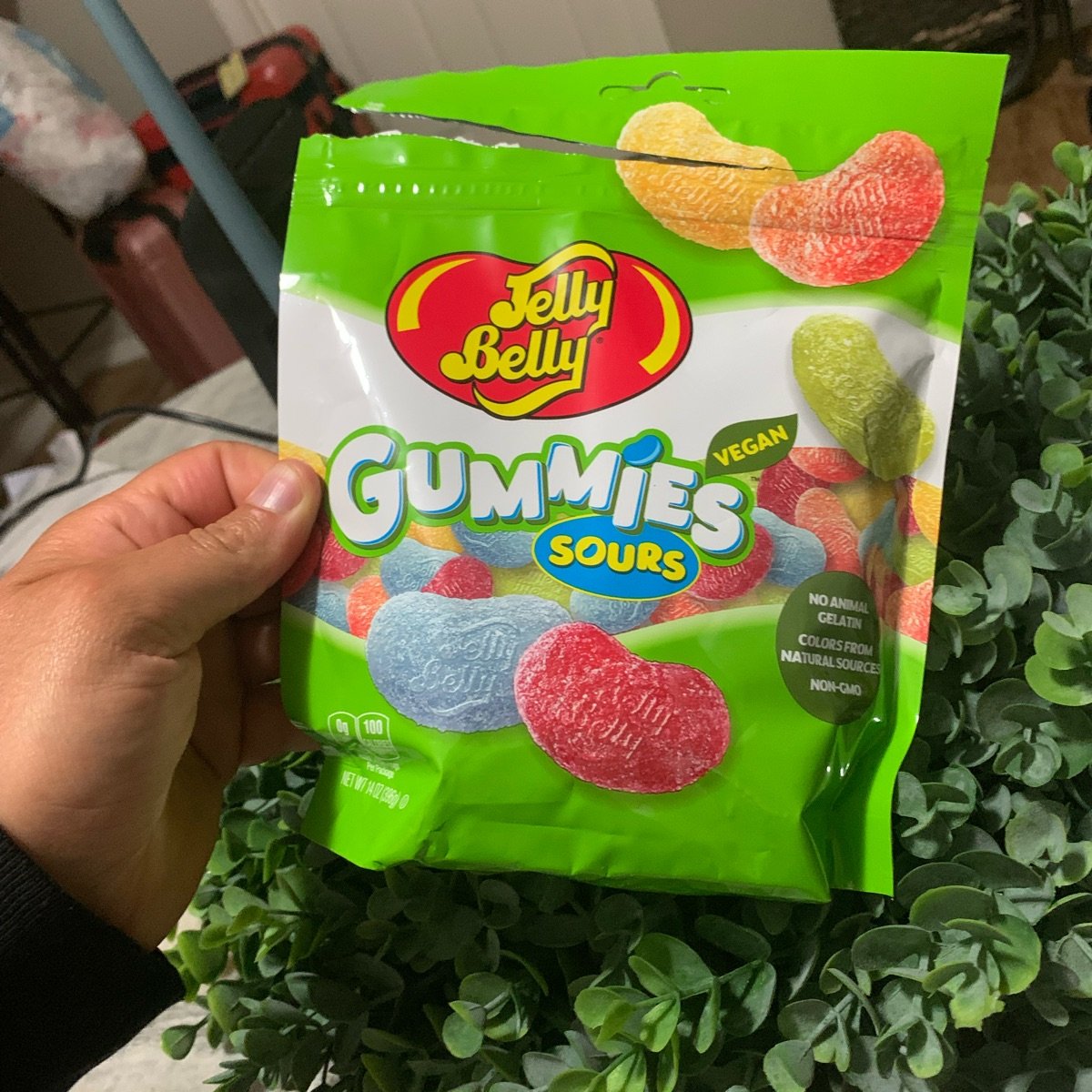 Jelly belly Gummies Sour Vegan Reviews abillion