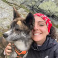 veronicalulli @veronicalulli profile image