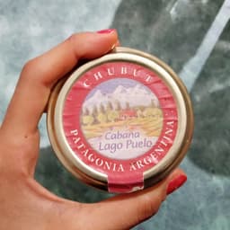Lago puelo