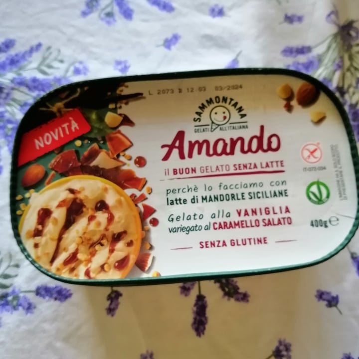 photo of Sammontana Amando Gelato Alla Vaniglia Vatiegato al Caramello Salato shared by @fedefiona02 on  25 Jun 2022 - review