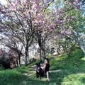 vigoveryvegan @vigoveryvegan profile image