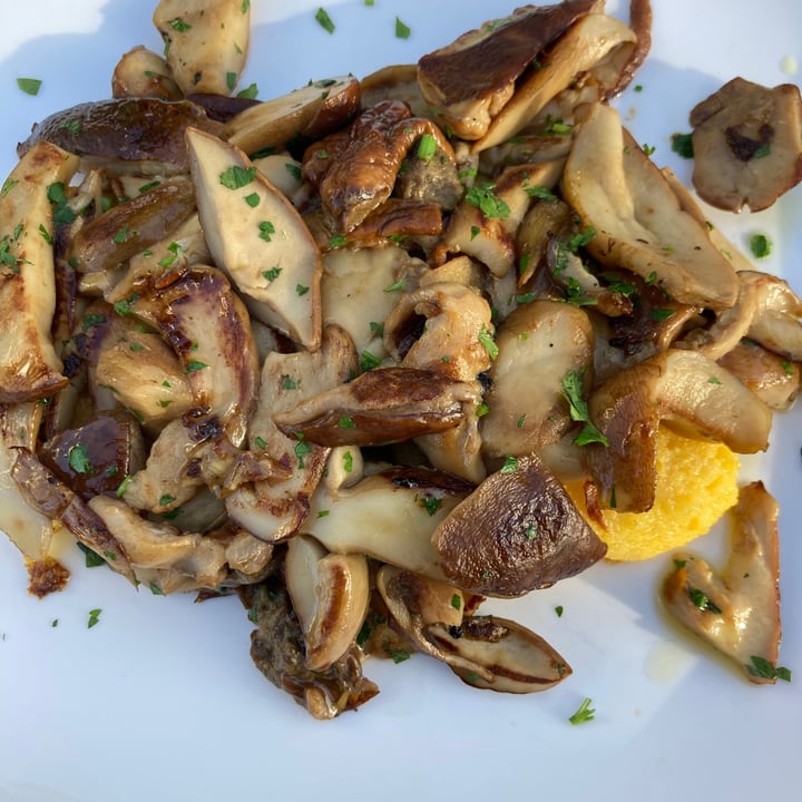 review photo of Ošterija Na Planinci Polenta Con Funghi shared by @fraceck on 31 Oct 2022 - review