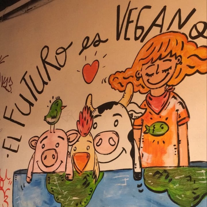 review photo of Futuro Veggie Tostados De Jamon Y Queso shared by @deisi on 03 Mar 2022 - review
